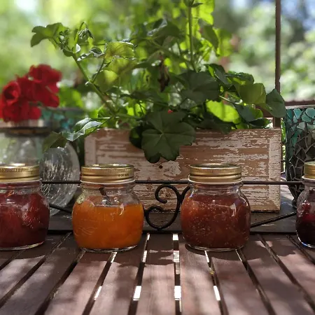 Couette-café Les Jardins D'holi *