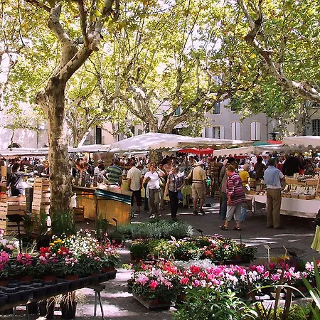Les Jardins D'holi *
