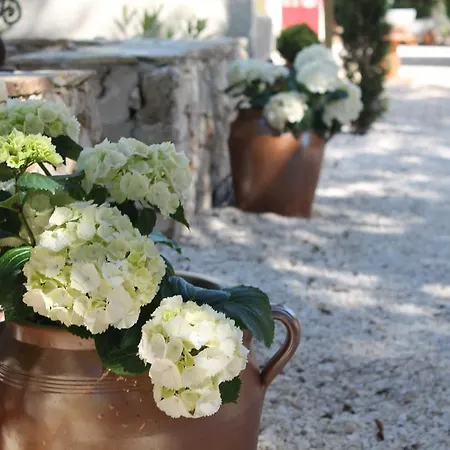 Bed & Breakfast Les Jardins D'holi Proche Uzes Garrigues-et-Sainte-Eulalie